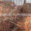 cooper wire scrap
