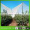 100% HDPE fruit protective net for against hail from trees