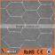 Factory Hexagonal Wire Mesh/ Chicken wire mesh / hexagonal wire netting in china