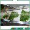 Advanced FSJ-A Air removing seperator for leaf and stem