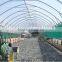 250mm Film Covered Automatic Vents System Sheds For Animals Growing