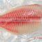 Frozen Tilapia fish Fillet (Oreochromis Niloticus)