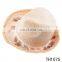 Wholesale women summer beach fedora raffia straw supreme hats