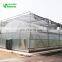 Commercial 200micro film greenhouse for tomato hydroponic