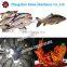fish skin peeling machine/fishing skin peeler machine/fish scale peeler