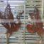 Custom Made Corten Steel Cute Birds Model Manufacturing