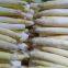 IQF White asparagus spears