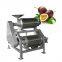 Stainless steel industrial frozen mango pulp machine  WT/8613824555378