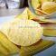 CE China On Discount Doritos Corn Chips Making Plant Machine Production line Manufactory