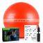 New Design Custom Logo Therapy Anti Burst Yoga Ball,Custom Yoga Ball
