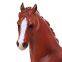 Customs Education Toys PVC Soft Simulation Animal Toys Arabian Horse Safe Gifts For Children
