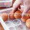 Kitchen Plastic Egg Holder, Fridge Organizer with Lid, Refrigerator Egg Storage Container