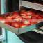 Automatic commercial freeze drier machine auto small scale food meat freeze-drying equipment cheap price for sale