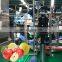 Automatic  Fruit jam processing machinery apple pear puree production line