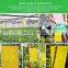 Dual Yellow Sticky Flying Plant Insect Fruit Fly Glue Traps Pheromone Strong Glue+paper+fly Bait 2 Year All-season MSDS Report