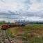 Backyard amusement park factory price battery power tourist tracked rail train rides for sale