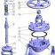 Globe Valve