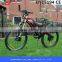 2015 FJ-TDE05 36v 10ah electric wheel hub motor bike li ion battery