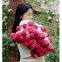 PINK CARNATIONS ROSE CROCHET FLOWER BOUQUET BLANKET