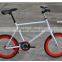 20 Inch Fixed Gear Bike Bicycle/ Customized Fixie Bike 20 Inch