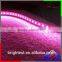 2835 12V LED Strip 120led/m Pink Color