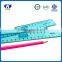 2016 Hot Promotion 20cm Blue Transparent Plastic Ruler Graduated Size