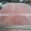 Bintangor Packaging Plywood/Poplar Packaging Plywood