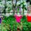 Wholesale Customized Garden Decorating Plastic Plant pots for Nursery