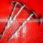 kenya market best quanlity Roofing Nails