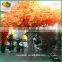 Latest design indoor fake red maple tree red artificial maple tree