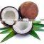 100% ORGANIC COCONUT WATER POWDER (DAIRY FREE)