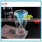 Fish Shaped Special Double Wall Wine Heat Resistant Cup