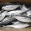 Frozen Horse Mackerel Fish