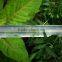 mosaic flat emitter type black irrigation drip pipe