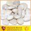 Competitive price sparkle white pebble for garden