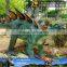 MY Dino-C082 Amusement park animatronic dinosaur stegosaurus model