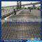 Concrete Steel Rebar Reinforcing Mesh/Ribbed Rebar Welded Mesh