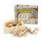 Excavation dig kit of Real Fossil