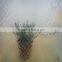 4mm 5mm 6mm acid etched pattern glass