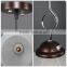 New Designs Indoor Modern Glass Pendant Light, Fancy Hanging Light
