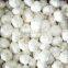 Chinese Pure White Garlic 2016 Crop