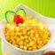 Canned Food Best Canned Sweet Corn Kernel with good price