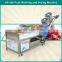 multi - functional vegetable and fruit washing and drying machine