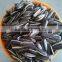 Chinese Common Cultivation Sunflower Seed Wholesale Market Price