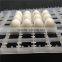 Incubation Equipment Parts White Plastic 63 Duck Egg Tray Is Easy To Use Very Good Quality