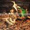 Nomo Driftwood sinking spider wood for fish aquarium freshwater tropical reptile