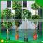 Mini Bonsai Artificial Ficus Trees