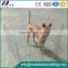 Outdoor Portable Dog Kennel Fence