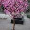 Decorative garden flower trees