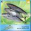 Carton or Woven Bag Packed 18 Months Shelf Life China Bonito Supplier